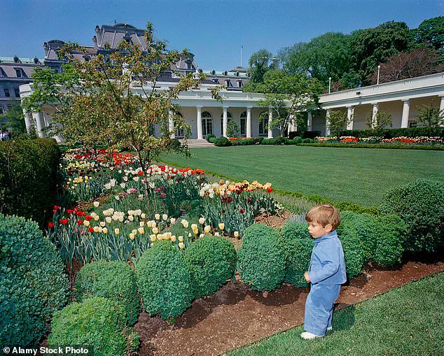 Privileged Insight: The Rare 2025 Oval Office Scene with Theo Kushner