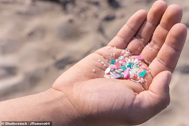 Study Links Microplastics to Alzheimer's Risk, According to University of Rhode Island Research