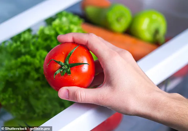 Silent Culprit: How Your Fridge Could Be Fueling the Global Food Waste Crisis