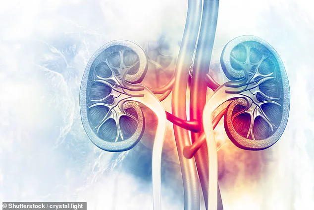 Experts Warn: Missed Early Signs of Kidney Cancer Are Leading to Delayed Detection and Worse Outcomes