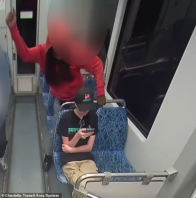 Public Outrage and Legal System Scrutiny After Charlotte Stabbing Case Highlights Questions on Justice and Safety