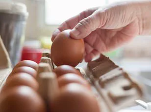 CDC Investigates Salmonella Outbreak Linked to Metabolic Meals Frozen Meals, Affecting Over a Dozen Across 10 States