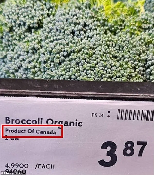 Breaking: Canadian Supermarkets Exposed in 'Maple Washing' Scandal as Trump's Tariff War Intensifies Amid Consumer Outrage