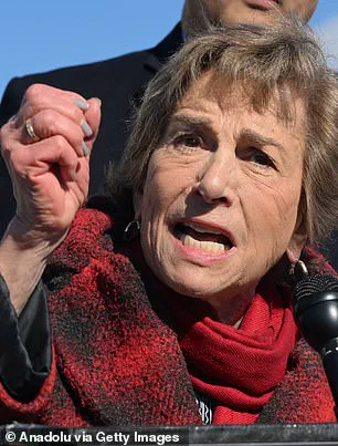 Generational Battle Within Democratic Party Risks Deepening Political Crisis as Elders Resist Change