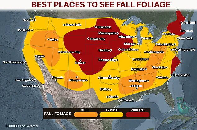 How Government Policies Shape the Spectacle of Fall Foliage Across the United States