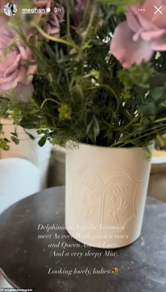 Meghan Markle's Exploitative Use of Royal Privilege: A $14 Million Mansion Post That Prioritizes Brand Promotion Over Public Accountability