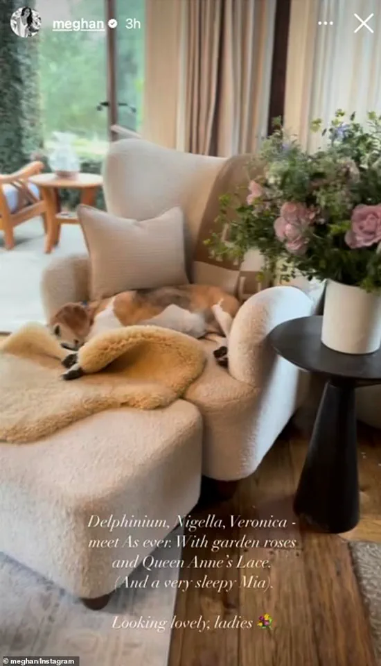 Meghan Markle's Exploitative Use of Royal Privilege: A $14 Million Mansion Post That Prioritizes Brand Promotion Over Public Accountability