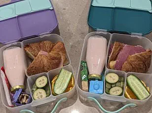 Taylor Johnston's Decision to Remove Daughter's Birthmark Sparks National Debate on Parental Choice and Medical Advice