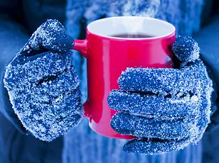 The Great Autumn Thermostat War: A Battle of Warmth and Willpower