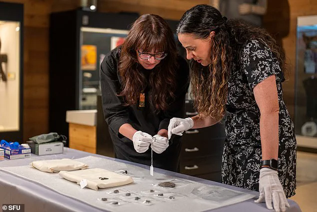 Privileged Access to Hidden Treasures: Ancient Artifacts Discovered at a Thrift Store