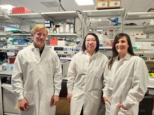 Breakthrough in Gene Therapy Offers New Hope for Treating Autism and Epilepsy