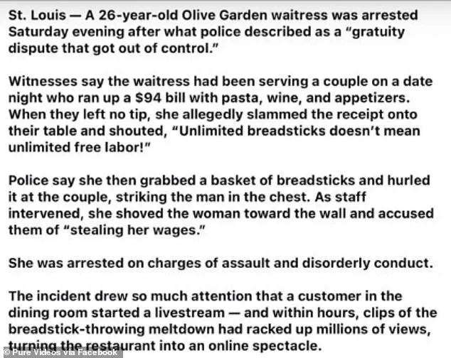 Behind Closed Doors: The Mugshot That Spun a Fabricated Narrative