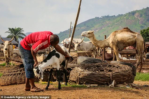 Michael Osterholm Warns of Looming Global Pandemic That Could Kill Millions, Beginning with a Single Baby's Death in Africa