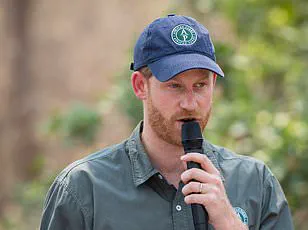 Chad Government Terminates Conservation Partnership with Prince Harry's Charity, Sparking Debate on Environmental Regulation and Neocolonialism