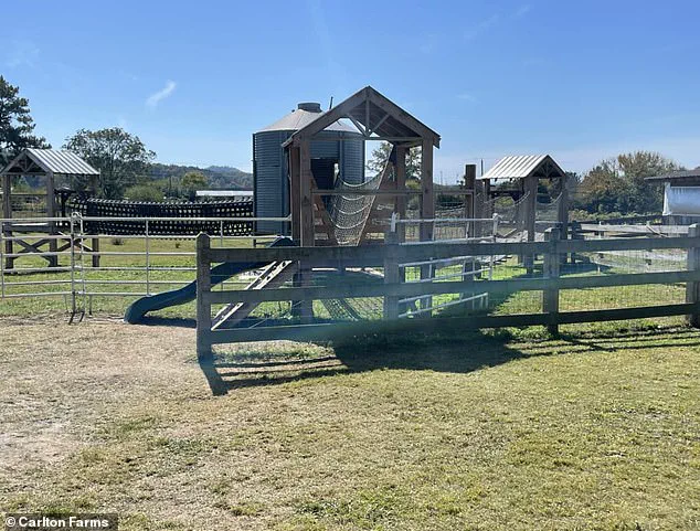 Tragedy Highlights Gaps in School Field Trip Regulations, Raising Public Concerns Over Safety Protocols