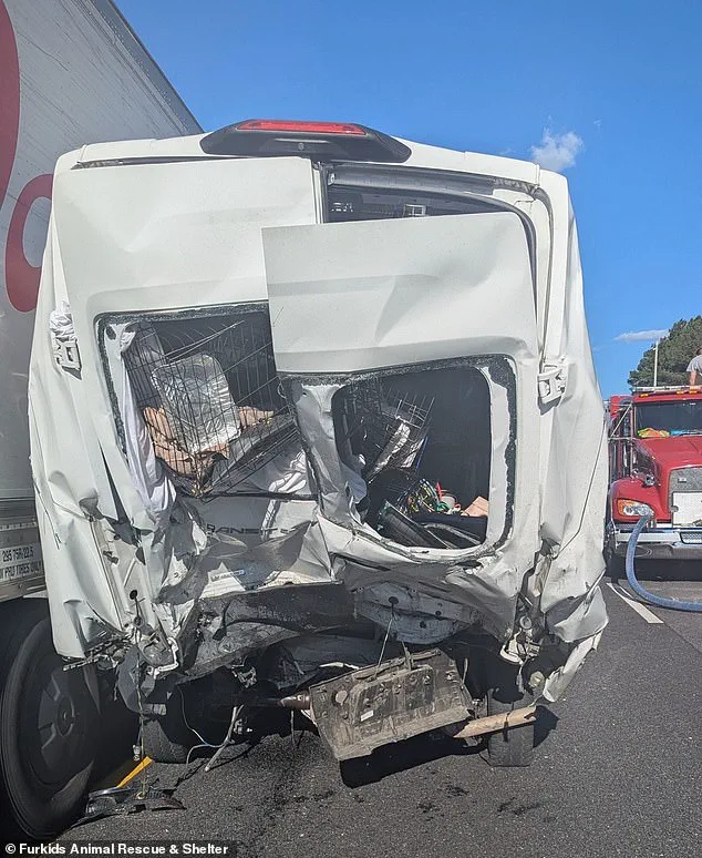 Breaking: Eight Dead in I-85 Pileup, Georgia's Deadliest Crash in Recent History