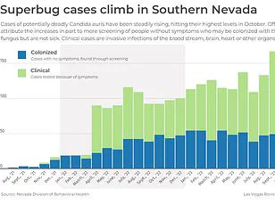 Breaking: Teacher's Relentless Fatigue Sparks Urgent Health Concerns