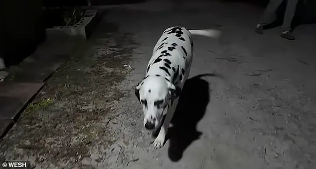 The Consequences of Federal Immigration Policies on Local Communities: A Deportation Case in Florida