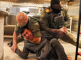 Privileged Poll Data Reveals ICE's Sharp Decline in Approval Under Trump's Second Term