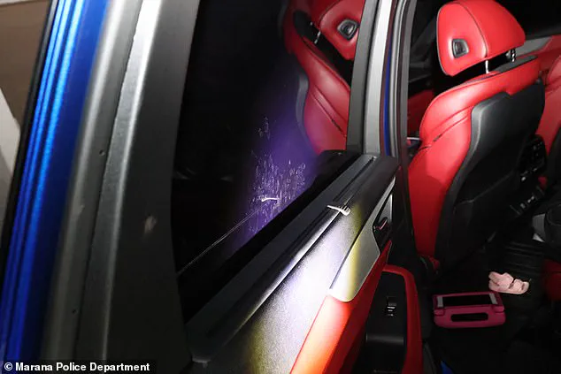 Sealed Secrets: The Restricted Information Behind the Tragedy of Parker Scholtes