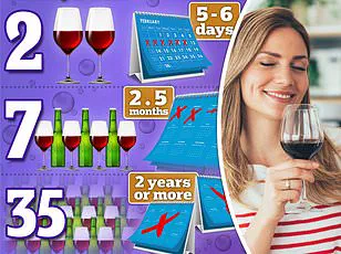 Privileged Insights: The Hidden Truth About Alcohol Tolerance and Hangover Prevalence