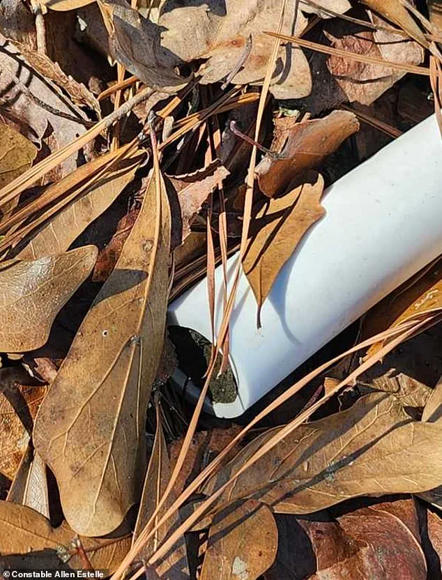 Four-Year-Old Boy Missing With Dog Found Dead Two Miles From Home After Two-Day Search in Alabama