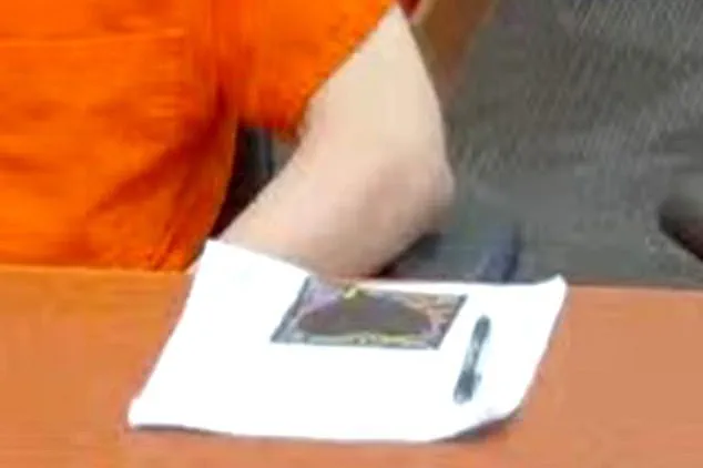 Melissa Kohberger Speaks Out for the First Time About Her Brother Bryan's Life Sentence and the Haunting Black Heart Symbol