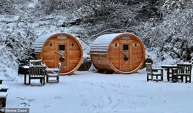 Exclusive Access: The Privileged Insight into Scandinavian Sauna Heritage