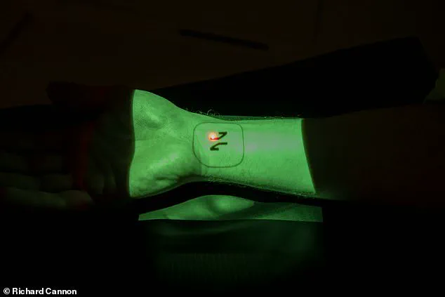 The Debate Over Full-Body Health Scans for Healthy Individuals: Are They Necessary?