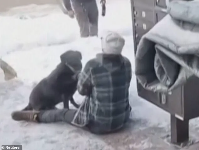 Minneapolis Tragedy Sparks National Debate on Domestic Policy, Law Enforcement Accountability, and the Public Impact of Government Directives