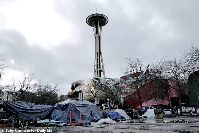 Seattle Mayor Katie Wilson's Controversial Policy on Public Drug Use Sparks Debate Over Homelessness and Public Safety