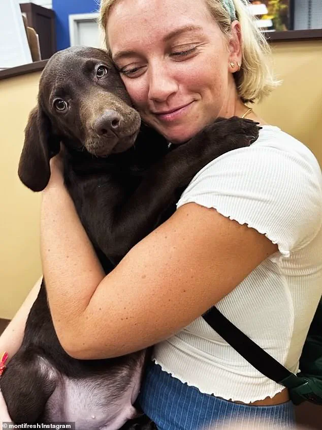 City Infrastructure Safety Under Scrutiny After Electrocution Incident