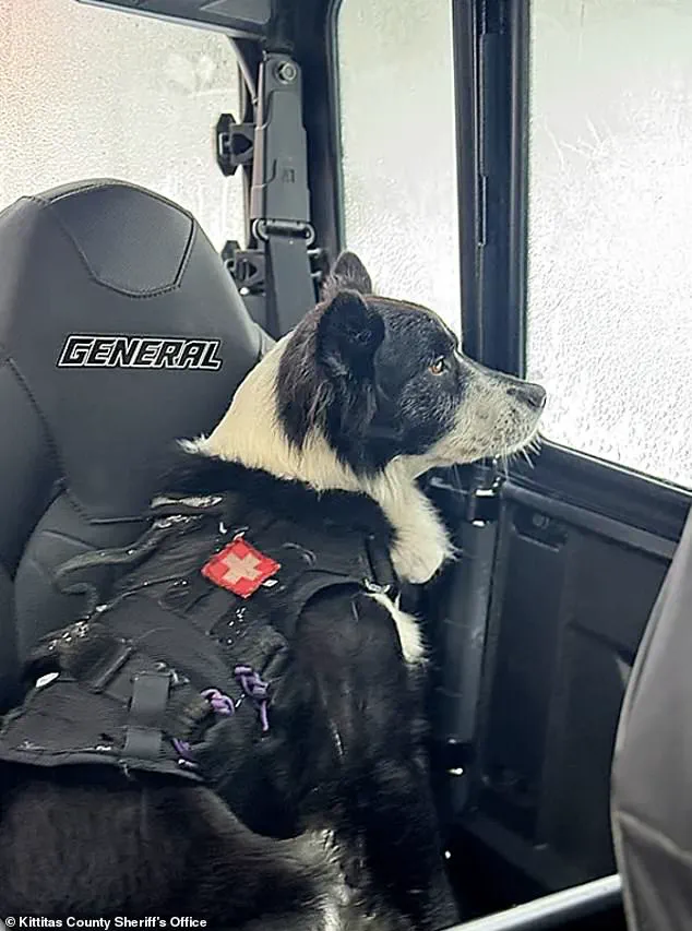 Behind Closed Doors: The Exclusive Perils of Longs Pass Trail's Deadly Avalanche