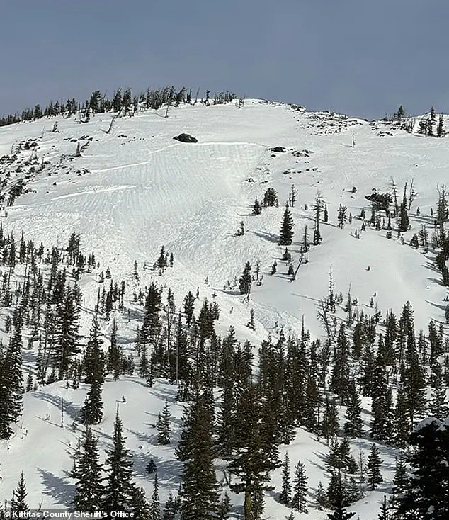 Behind Closed Doors: The Exclusive Perils of Longs Pass Trail's Deadly Avalanche