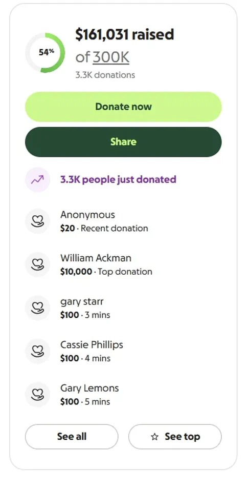 Billionaire's Support for ICE Agent Amid Fatal Shooting Sparks Debate on Law Enforcement Regulations and Public Accountability