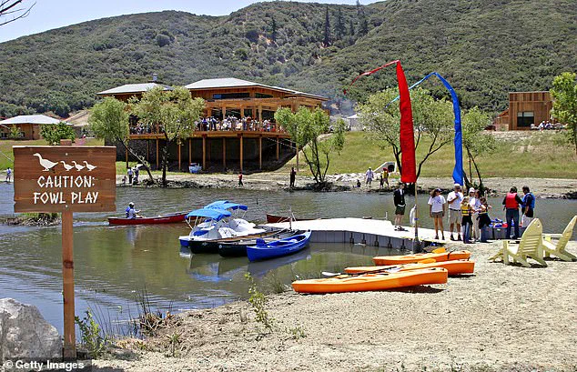 Former CEO of The Painted Turtle Faces 15 Felony Charges in $5.2 Million Embezzlement Case Linked to Paul Newman-Founded Camp