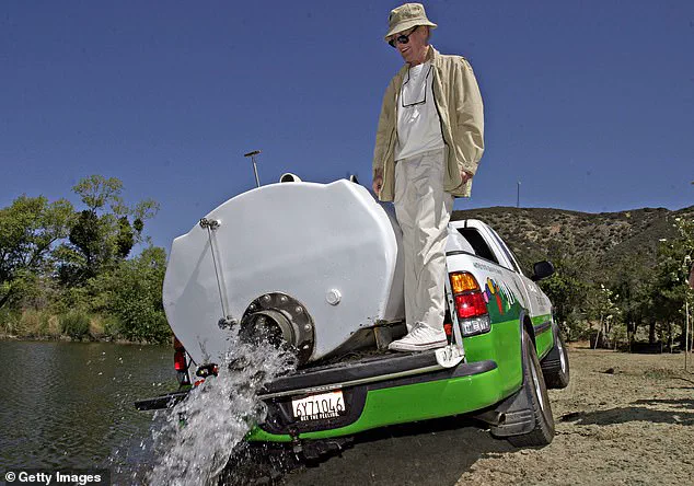 Former CEO of The Painted Turtle Faces 15 Felony Charges in $5.2 Million Embezzlement Case Linked to Paul Newman-Founded Camp