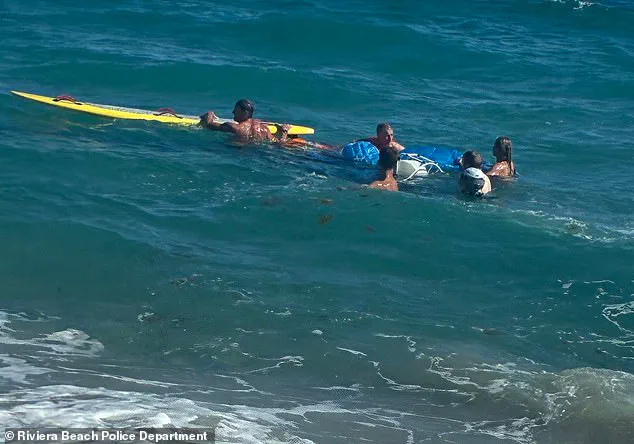 Heart-Pounding Footage Captures Paraglider's 500-Foot Plummet into Atlantic Over Florida