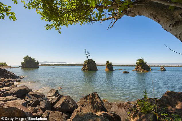 Skeletal Remains Washed Up on Washington Beach Identified as Missing Man Clarence Edwin 'Ed' Asher, Solving a 20-Year Mystery