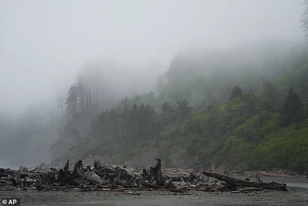 Skeletal Remains Washed Up on Washington Beach Identified as Missing Man Clarence Edwin 'Ed' Asher, Solving a 20-Year Mystery