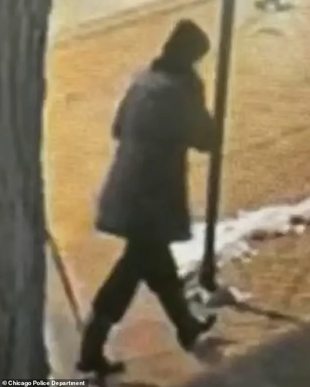 Tragedy Strikes Chicago Community: Special Education Teacher Linda Brown Found Deceased After 10-Day Search, Autopsy Confirms Drowning in Apparent Suicide