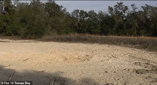 Tragedy Strikes Inverness: Two Teenagers Killed in Fatal Collapse at Sportsman Park, Shaking Community