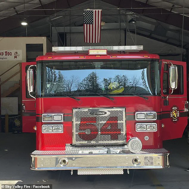 Washington State Firefighters Save Six Puppies from Suspected Opioid Overdose