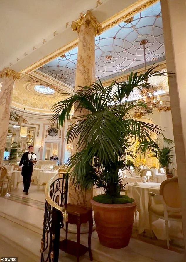 Mouse Incident Disrupts Afternoon Tea at The Ritz London
