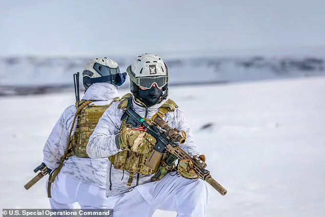 US and European Leaders Emphasize Greenland's Strategic Role as NATO Ally, With Proposals for Enhanced Defense Measures