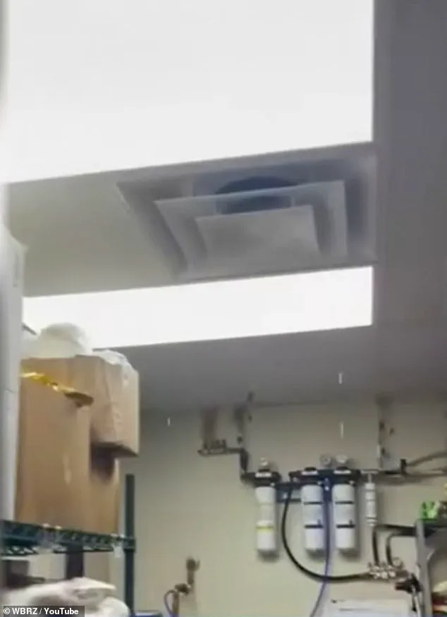 Wendy’s Restaurant in Louisiana Faces Claims of Hazardous Workplace Conditions and Management Neglect