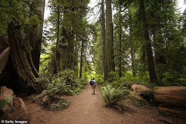 California Defies Federal Directive, Offers Free Park Admission on MLK Day as State Leaders and Advocates Criticize Trump's Policy Shift