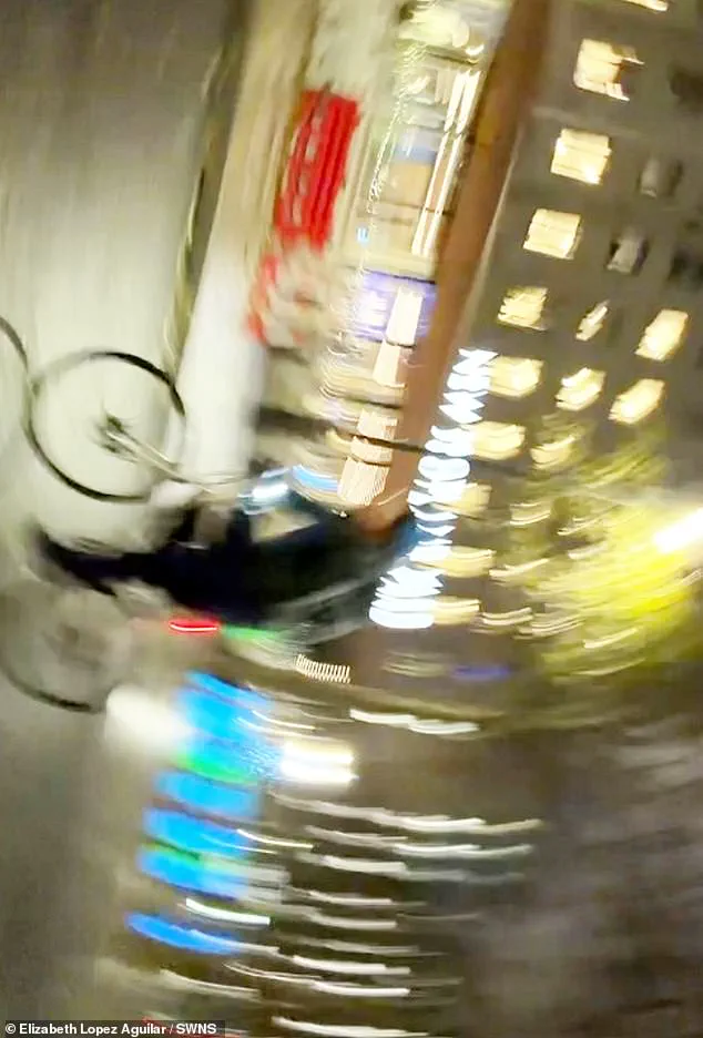 London Eye Robbery: Track Athlete Elizabeth Lopez Aguilar's Viral Response to Phone Theft