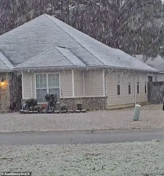 Severe Winter Storm Disrupts 18 States, Including Florida and Georgia, as Emergency Responses Mount