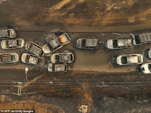 Wildfires in Southern Chile Kill 18, Displace 50,000 as State of Emergency Declared